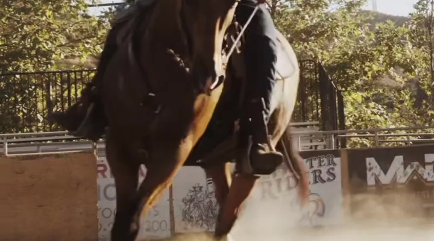 Horse and rider crossing the arena