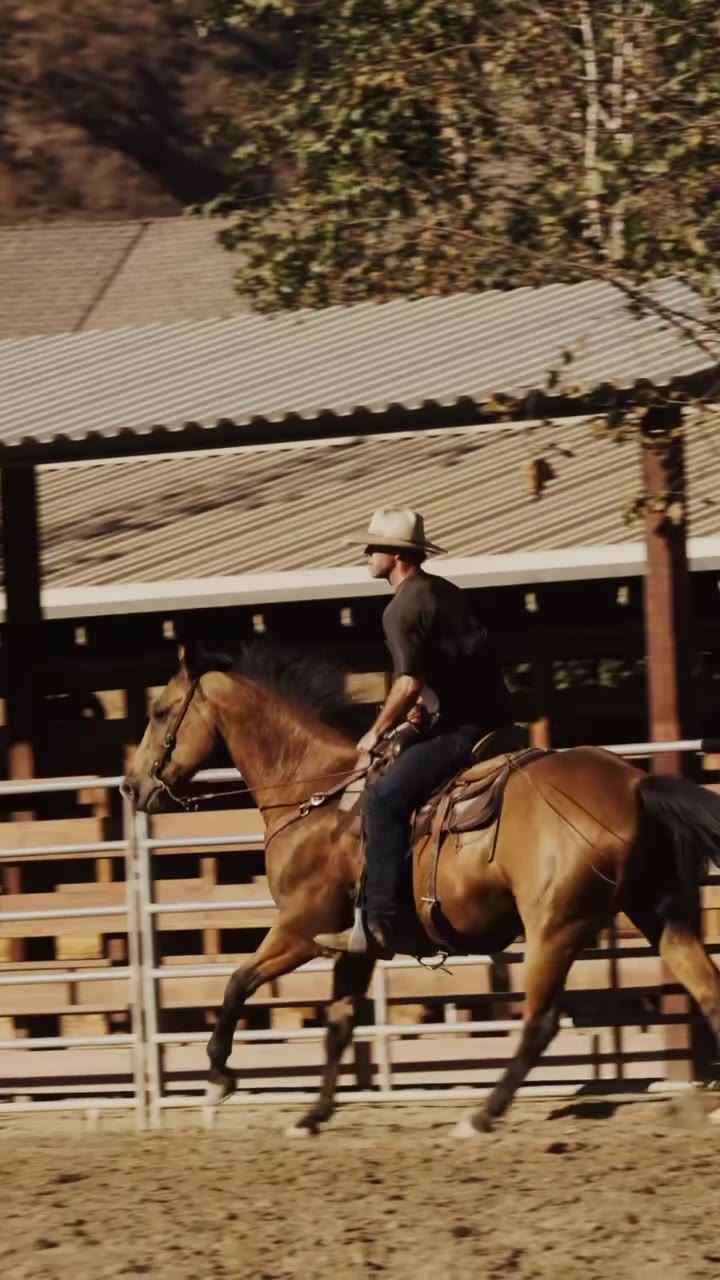 Working a horse in the arena at golden hour